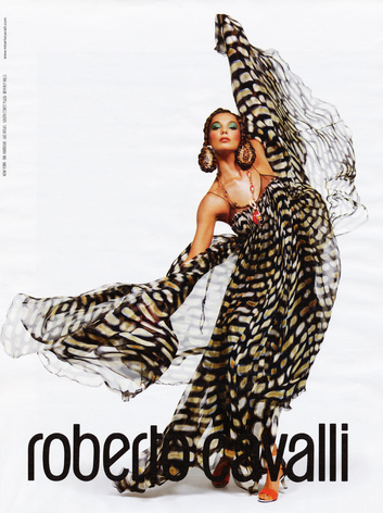 Ss_2009_pap_rcavalli-1