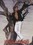 Ss_2006_pap_rcavalli-1