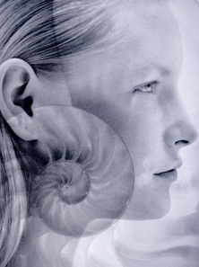 Nick_knight-9